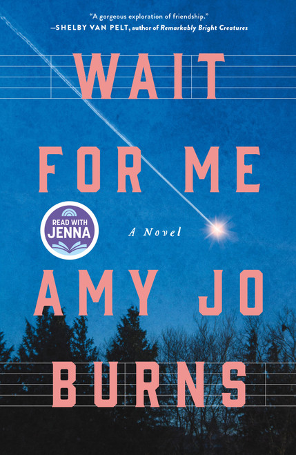 Wait for Me (A Novel) by Amy Jo Burns, 9781250399328