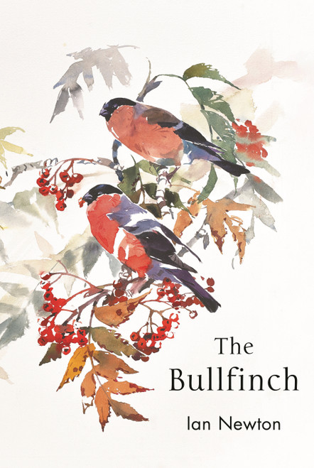 The Bullfinch by Ian Newton, 9781399421980