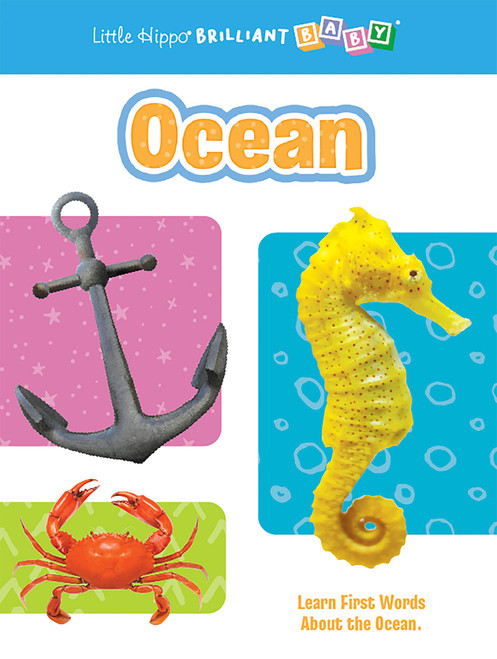 Brilliant Baby: Ocean by Little Hippo Books, Sydnie Wittenberg, michele fink, 9781966969563
