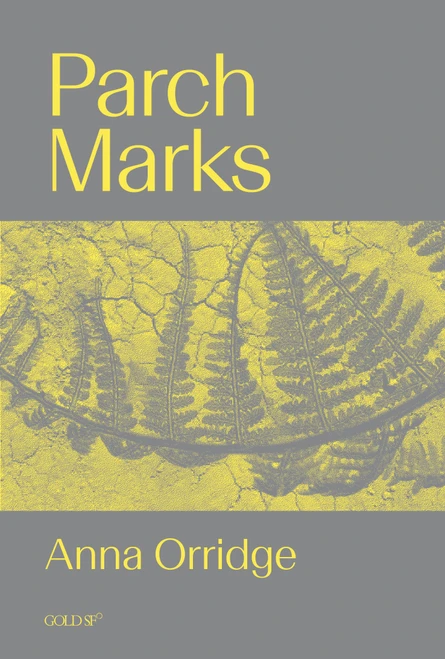 Parch Marks by Anna Orridge, 9781915983572