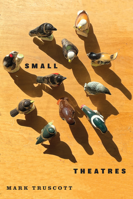 Small Theatres by Mark Truscott, 9780228027928