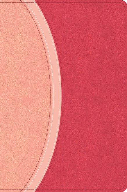 CSB Rainbow Study Bible, Pink LeatherTouch, Indexed by CSB Bibles by Holman, 9798384557791