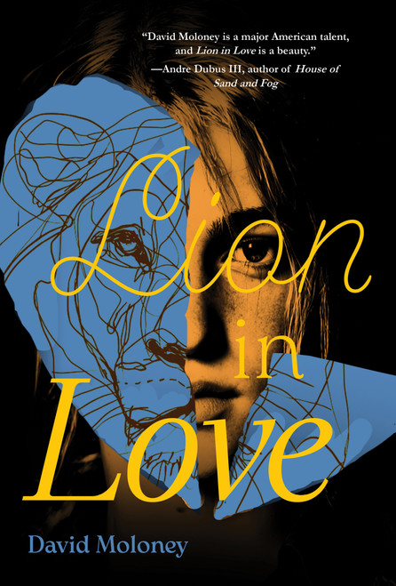 Lion in Love by David Moloney, David Moloney, 9781646038381