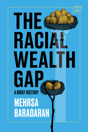 The Racial Wealth Gap (A Brief History) by Mehrsa Baradaran, 9781324157144