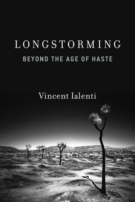 Longstorming (Beyond the Age of Haste) by Vincent Ialenti, 9780262057585