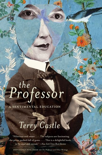 The Professor (A Sentimental Education) by Terry Castle, 9780061670923