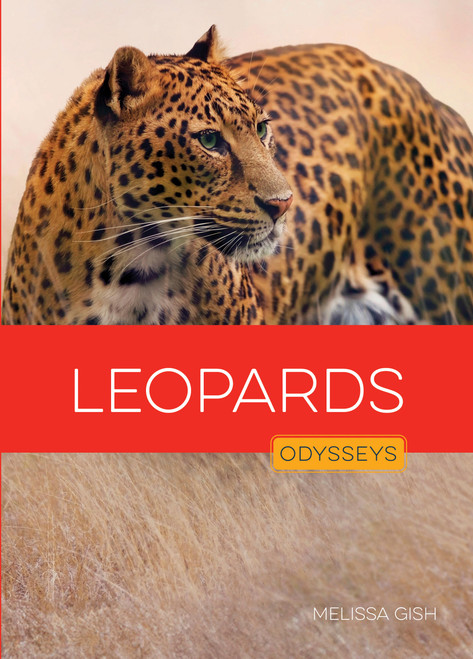 Leopards by Melissa Gish, 9798896805106