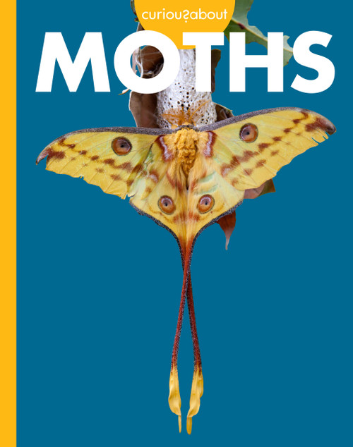 Curious about Moths by Deirdre A. Prischmann, 9798896857136
