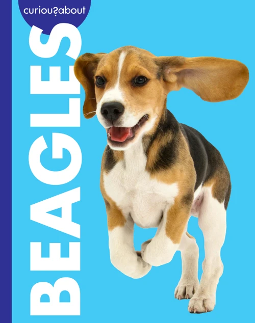 Curious about Beagles by Rachel Grack, 9798896857204