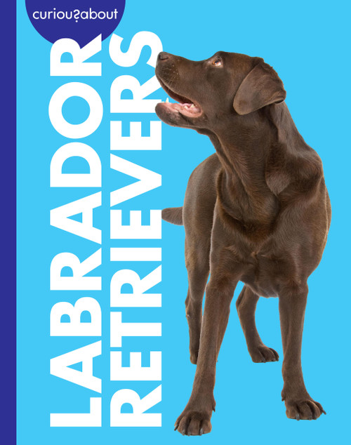 Curious about Labrador Retrievers by Rachel Grack, 9798896857259