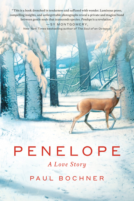 Penelope (A Love Story) by Paul Bochner, 9798217399413