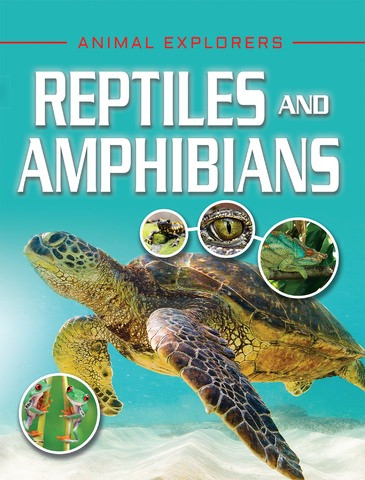 Reptiles and Amphibians by Michael Leach, Meriel Lland, 9781978509955
