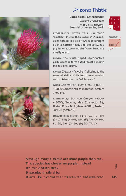 The Arizona Wildflower Companion by Laird Blackwell, 9780826370587