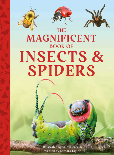 The Magnificent Book of Insects and Spiders by Barbara Taylor, Val Walerczuk, 9798886744965