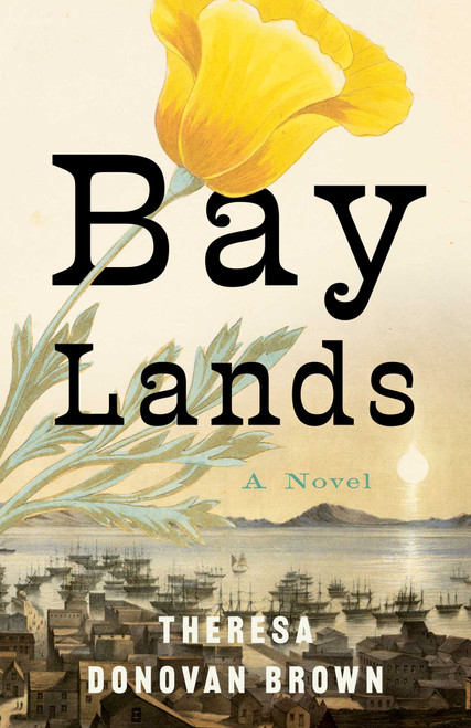 Bay Lands (A Novel) by Theresa Donovan Brown, 9798896364320