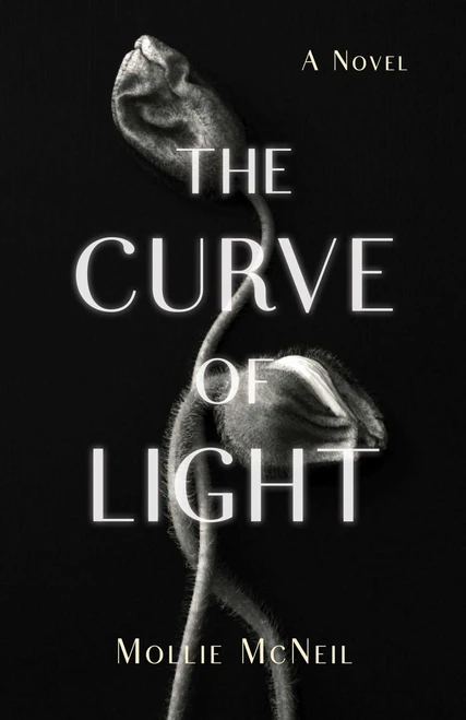 The Curve of Light (A Novel) by Mollie McNeil, 9798896364917