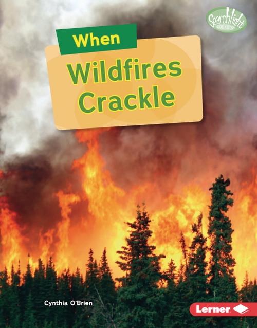 When Wildfires Crackle by Cynthia O'Brien, 9798348057732