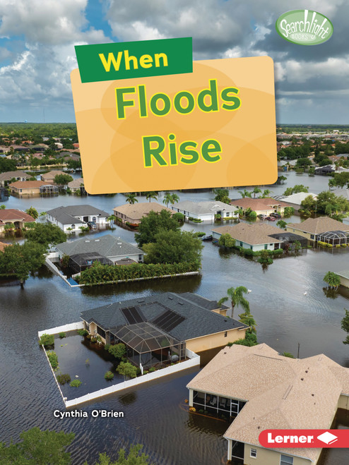 When Floods Rise by Cynthia O'Brien, 9798348065904