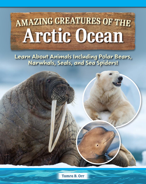 Amazing Creatures of the Arctic Ocean (Learn About Animals Including Polar Bears, Narwhals, Seals, and Sea Spiders!) by Tamra B. Orr, 9798890941725
