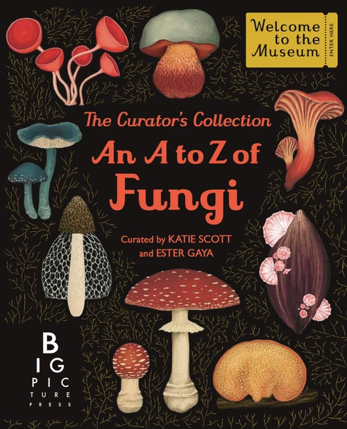 The Curator's Collection: An A to Z of Fungi by Gaya Ester, Katie Scott, 9781536257038