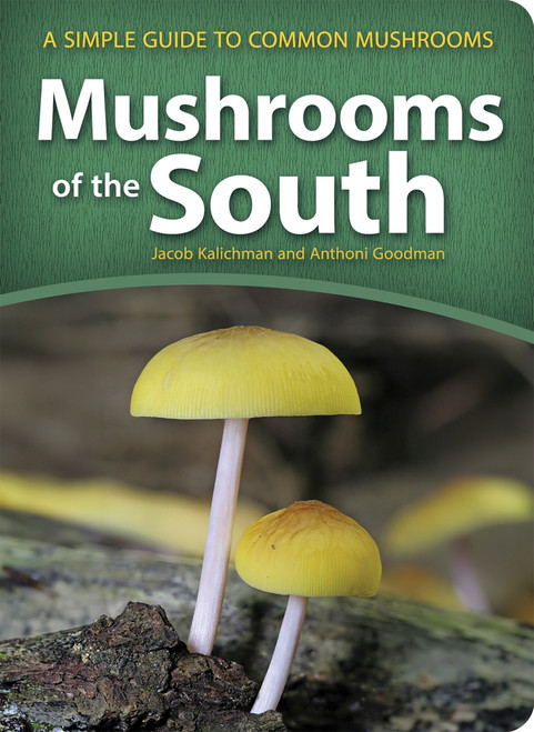 Mushrooms of the South (A Simple Guide to Common Mushrooms) (Miniature Edition) by Jacob Kalichman, Anthoni Goodman, 9781647555771