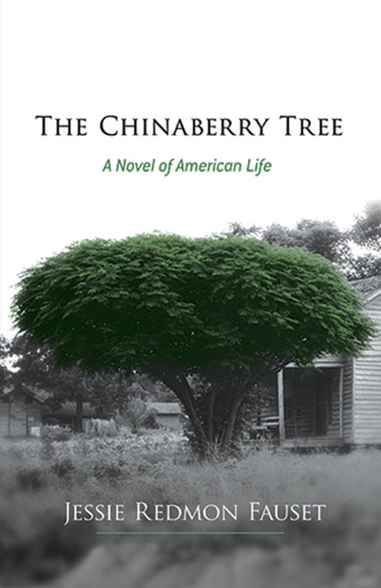 The Chinaberry Tree (A Novel of American Life) by Jessie Redmon Fauset, 9780486493220