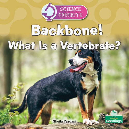 Backbone! What Is a Vertebrate? by Sheila Yazdani, 9781039891289
