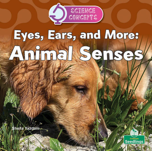 Eyes, Ears, and More: Animal Senses by Sheila Yazdani, 9781039891333