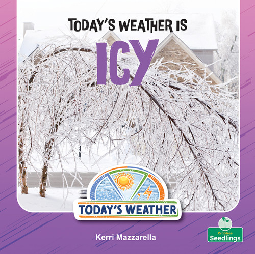 Today's Weather Is Icy by Kerri Mazzarella, 9781039892712