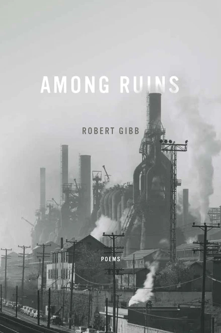 Among Ruins by Robert Gibb, 9780268102104