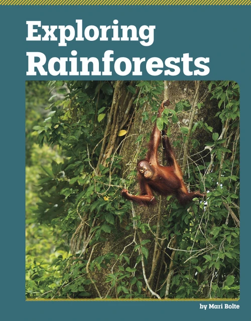 Exploring Rainforests by Mari Bolte, 9798875333958