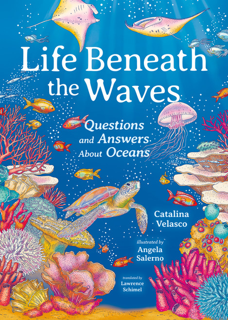 Life Beneath the Waves (Questions and Answers About Oceans) by Catalina Velasco, Angela Salerno, Lawrence Schimel, 9781459846326