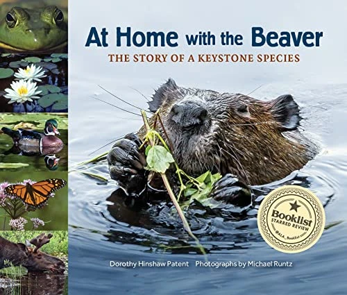 At Home with the Beaver (A Story of a Keystone Species) by Dorothy Hinshaw Patent, Michael Runtz, 9781970039054