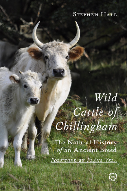 Wild Cattle of Chillingham (The Natural History of an Ancient Breed) by Stephen Hall, 9781789183832