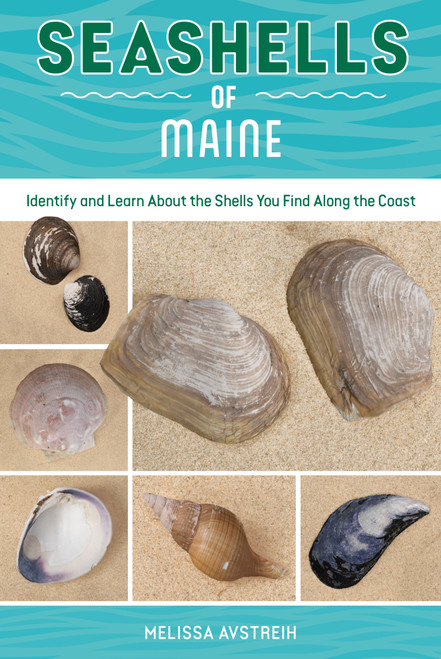 Seashells of Maine (Identify and Learn About the Shells You Find Along the Coast) by Melissa Avstreih, 9780764373503