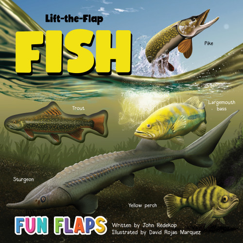 Fish of North America Fun Flaps by John Redekop, David Martin, 9781834041070