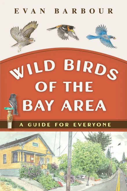Wild Birds of the Bay Area (A Guide for Everyone) by Evan Barbour, 9781597147422