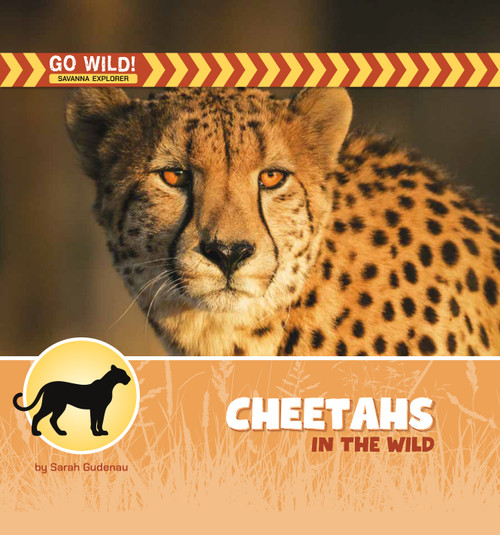 Cheetahs in the Wild by Sarah Gudenau, 9781668988442