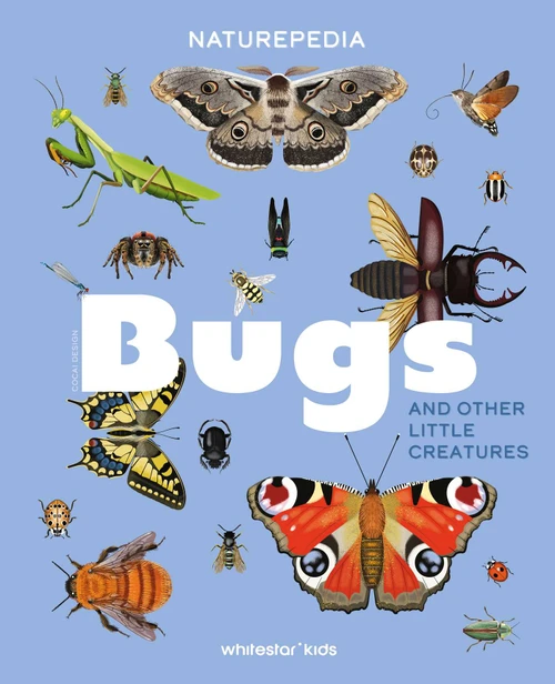 Naturepedia: Bugs and Other Little Creatures by Danio Miserocchi, Cocai Design, 9788854422674