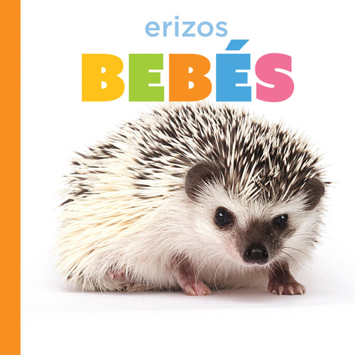 Erizos bebés (Spanish Edition) by Graham Morgan, 9798896803867
