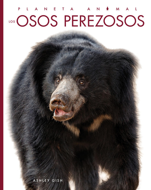Los osos perezosos (Spanish Edition) by Ashley Gish, 9798896804192