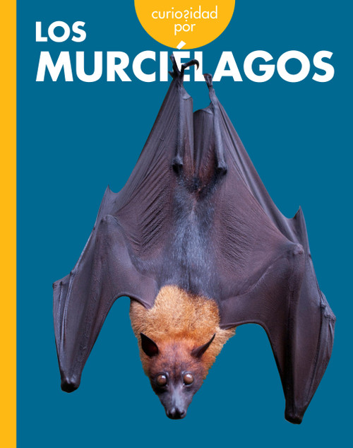 Curiosidad por los murciélagos (Spanish Edition) by Mary Bleckwehl, 9798896857143
