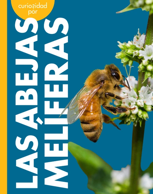 Curiosidad por las abejas melíferas (Spanish Edition) by Deirdre A. Prischmann, 9798896857174