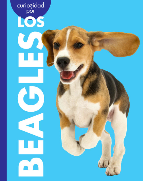 Curiosidad por los beagles (Spanish Edition) by Rachel Grack, 9798896857280
