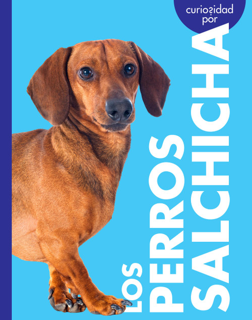 Curiosidad por los perros salchicha (Spanish Edition) by Rachel Grack, 9798896857297