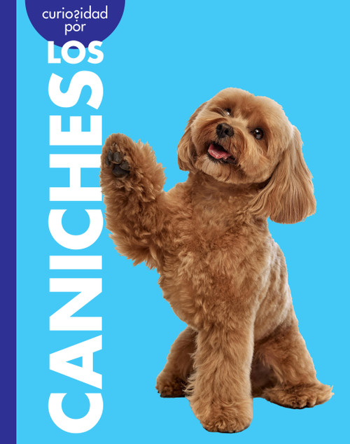 Curiosidad por los caniches (Spanish Edition) by Rachel Grack, 9798896857341