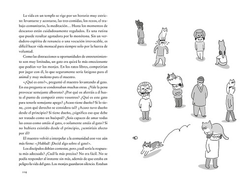 Un gato vino a verme / A Cat Came to See Me (Spanish Edition) by Maestro Bokyeong, 9788401039690