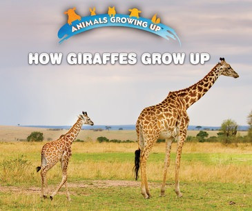 How Giraffes Grow Up by Linda Bozzo, 9781978507210