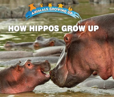 How Hippos Grow Up by Linda Bozzo, 9781978512351