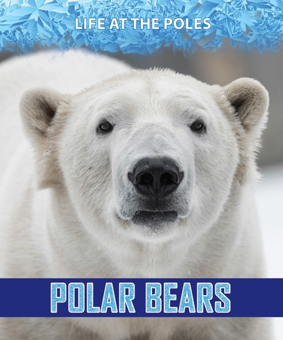 Polar Bears by Rita Santos, 9781978512191